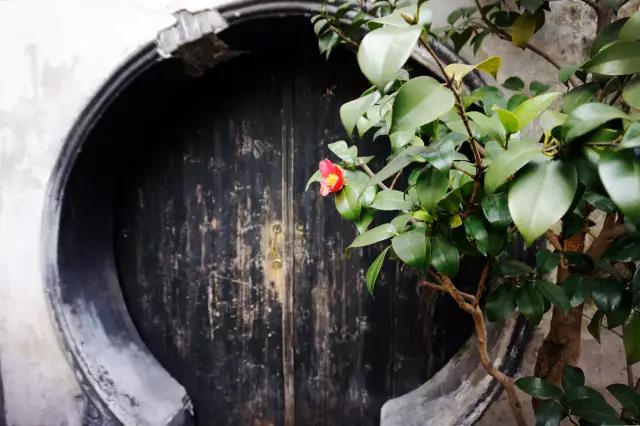 見(jiàn)證歷史滄桑風(fēng)雨的古老大門