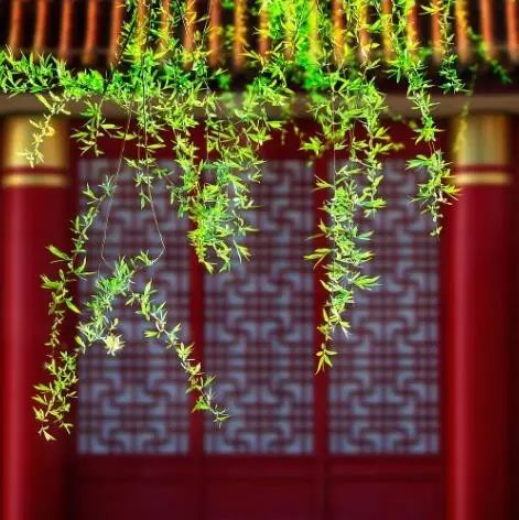 雄峙數(shù)千年的古建筑，歷史古建筑風情萬種！