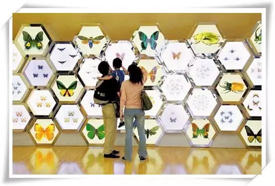 適合孩子的博物館推薦，探索世界奧秘！