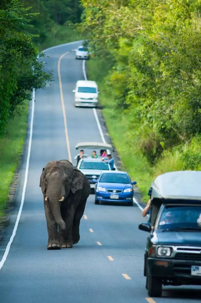 十條最適合自駕出游的匠心啟航閱讀景公路，一路美景