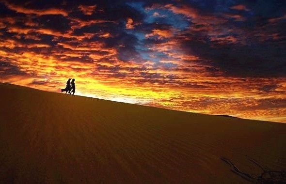 十條最適合自駕出游的匠心啟航閱讀景公路，一路美景