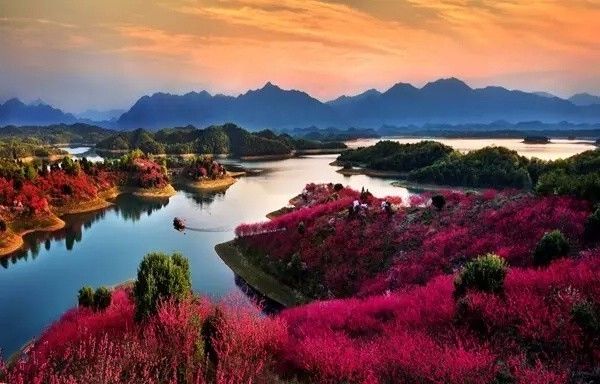 十條最適合自駕出游的匠心啟航閱讀景公路，一路美景