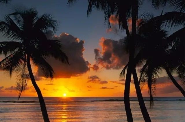 十條最適合自駕出游的匠心啟航閱讀景公路，一路美景