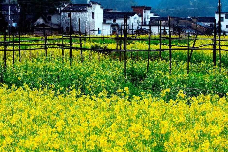 夢回西江，南昌，廬山，婺源