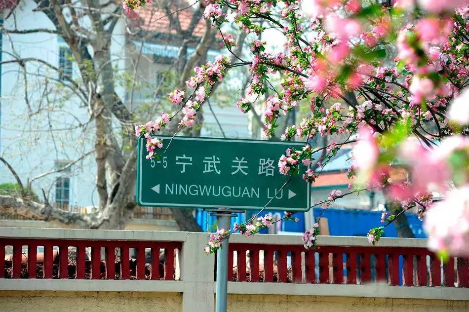 清明小長假，去這9個絕美的地方踏青