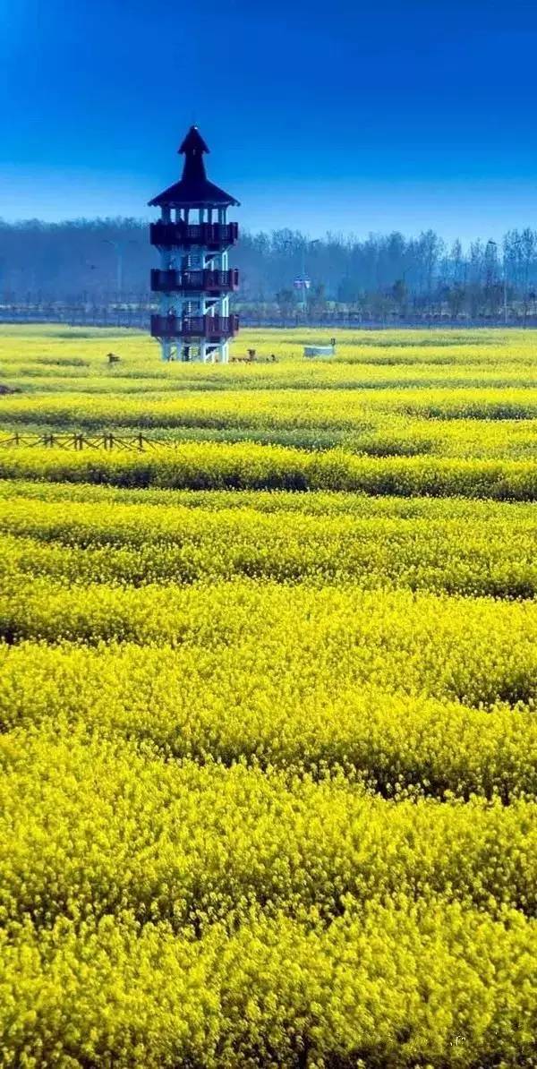 清明小長假，去這9個絕美的地方踏青