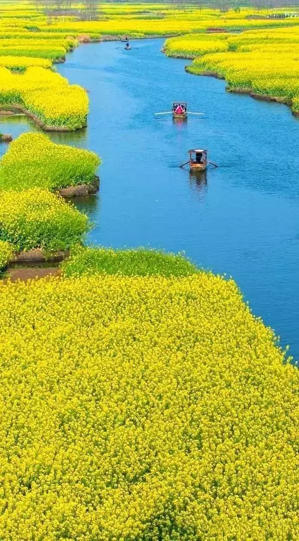 清明小長假，去這9個絕美的地方踏青