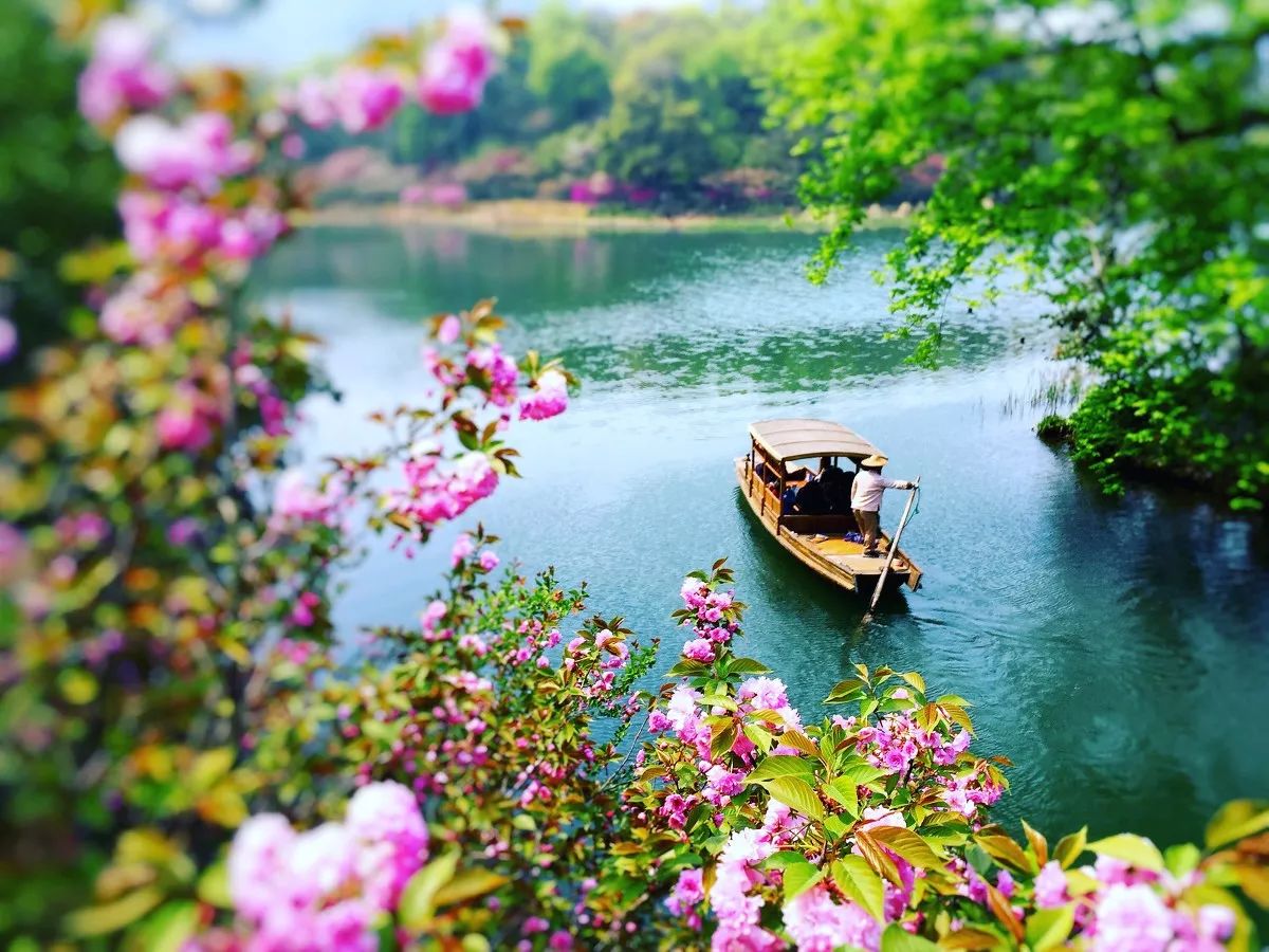 清明小長假，去這9個絕美的地方踏青