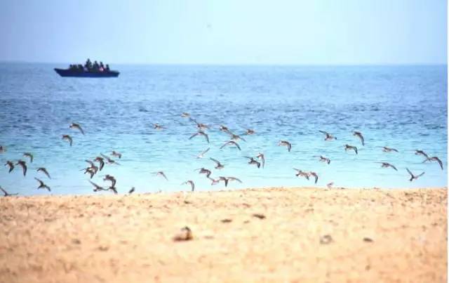 清明小長(zhǎng)假，去這9個(gè)絕美的地方踏青