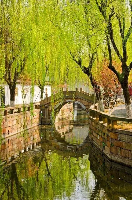 清明小長假，去這9個(gè)絕美的地方踏青