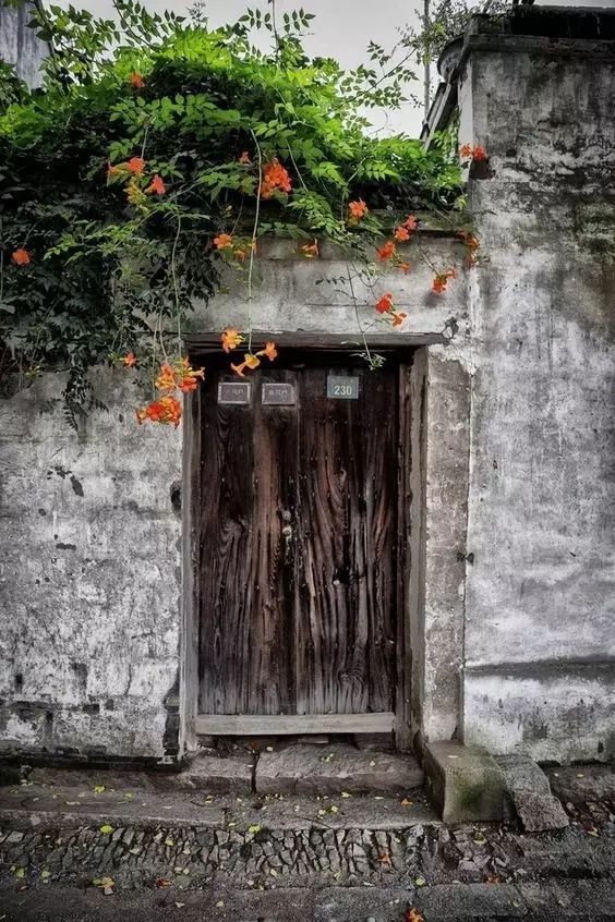 清明小長假，去這9個(gè)絕美的地方踏青