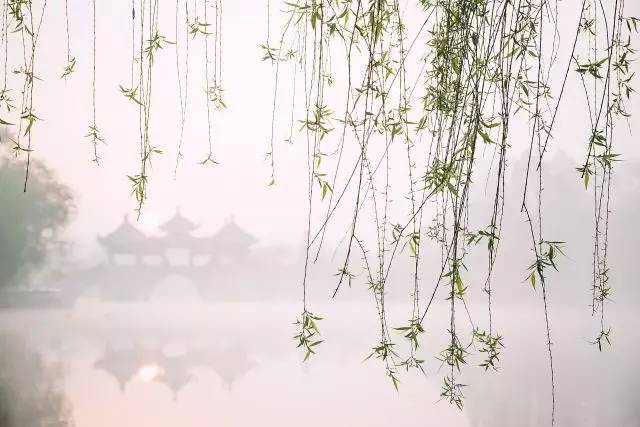 清明小長假，去這9個(gè)絕美的地方踏青