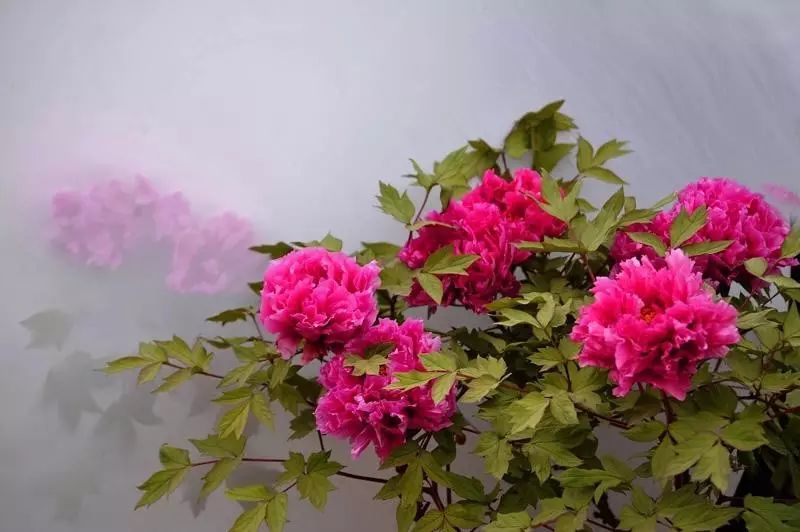 清明小長(zhǎng)假，去這9個(gè)絕美的地方踏青