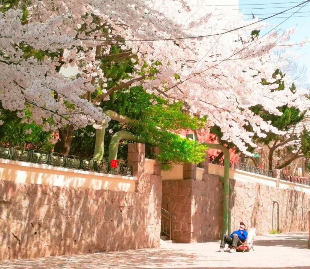 清明小長假，去這9個絕美的地方踏青