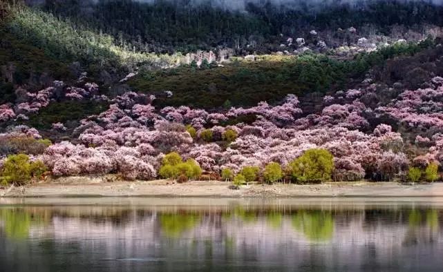 踏青尋色，春風(fēng)十里不如你