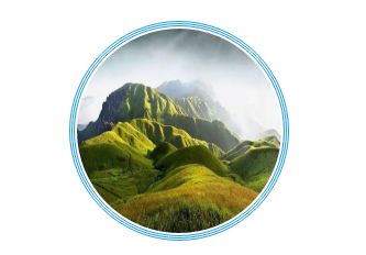 踏青尋色：春光無限好，只為等待一個你