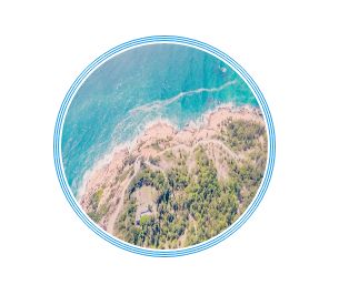 踏青尋色：春光無限好，只為等待一個你