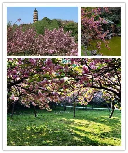 唯美風(fēng)景圖片，踏青游玩美翻天！