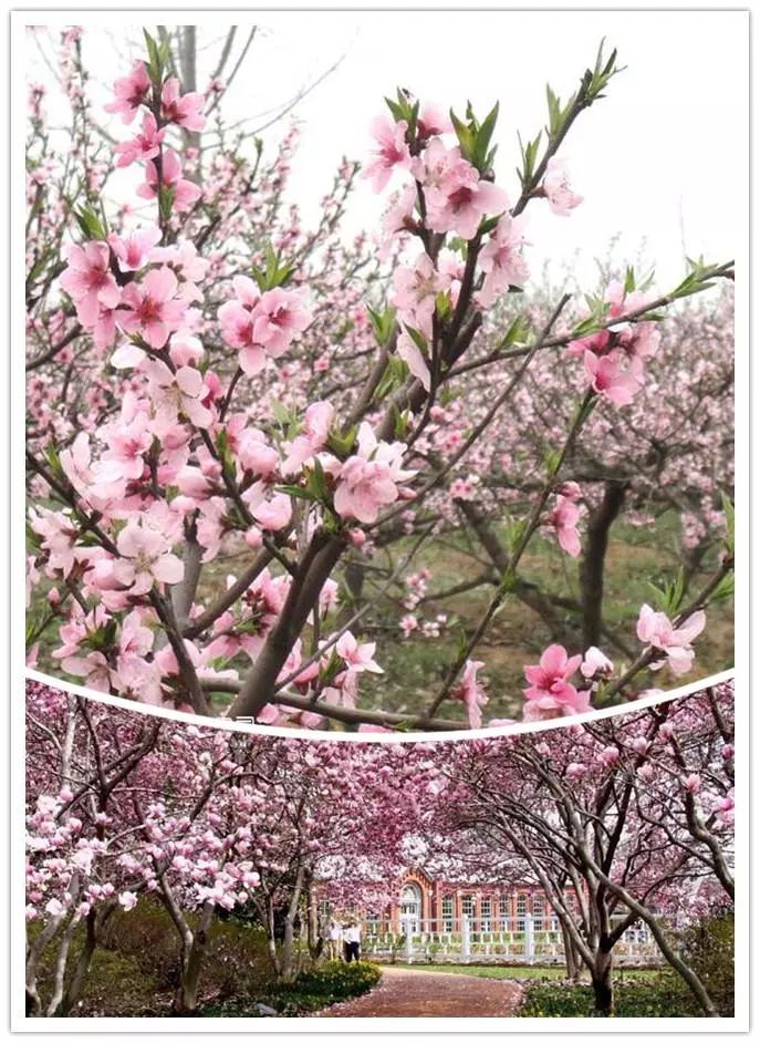 唯美風(fēng)景圖片，踏青游玩美翻天！