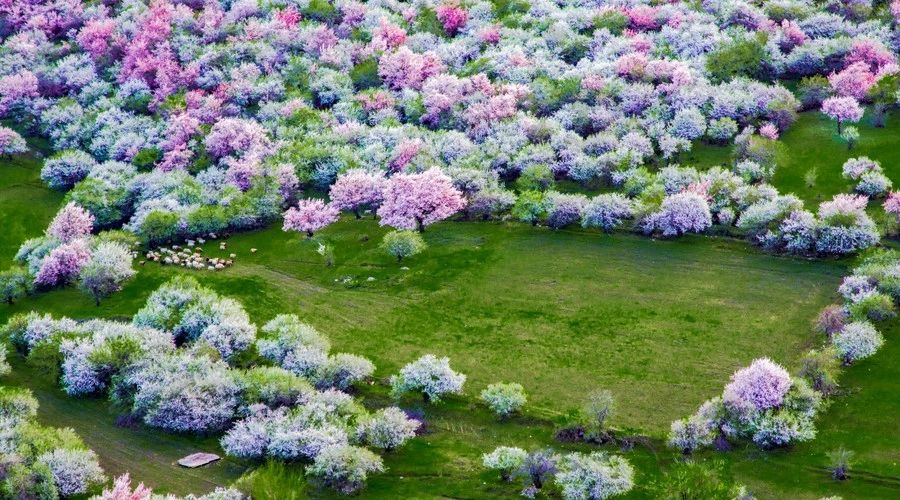 最美人間四月，詩情畫意不可錯(cuò)失的風(fēng)景推薦