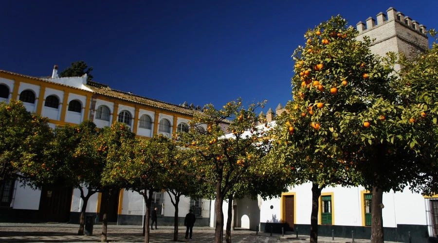 最美人間四月，詩情畫意不可錯失的風(fēng)景推薦