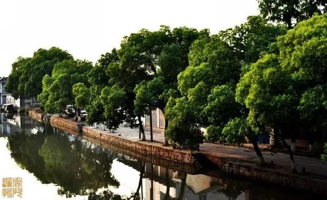 東方的小威尼斯，同里古鎮(zhèn)