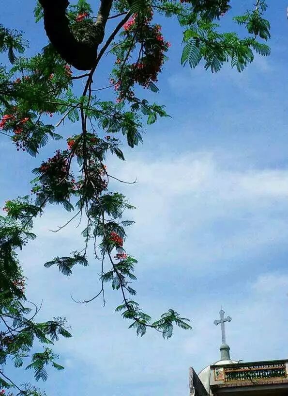 棉湖掠影， 古鎮(zhèn)情懷