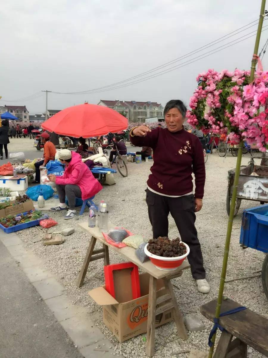 古鎮(zhèn)之外的新場，或許更有新意