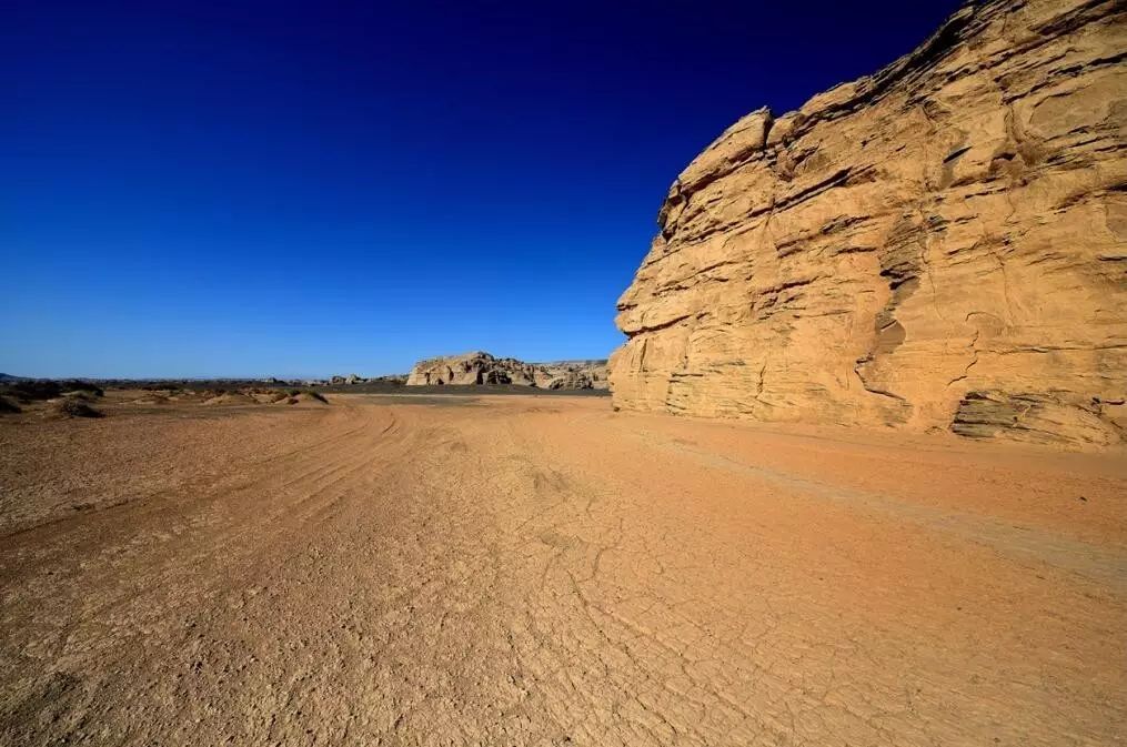 雕塑之魂：從干裂的土地上，尋找生命的意義