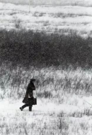 風景即心境，東山魁夷筆下的四季