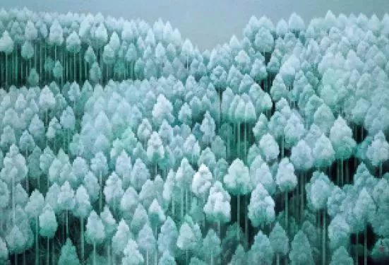 風(fēng)景即心境，東山魁夷筆下的四季