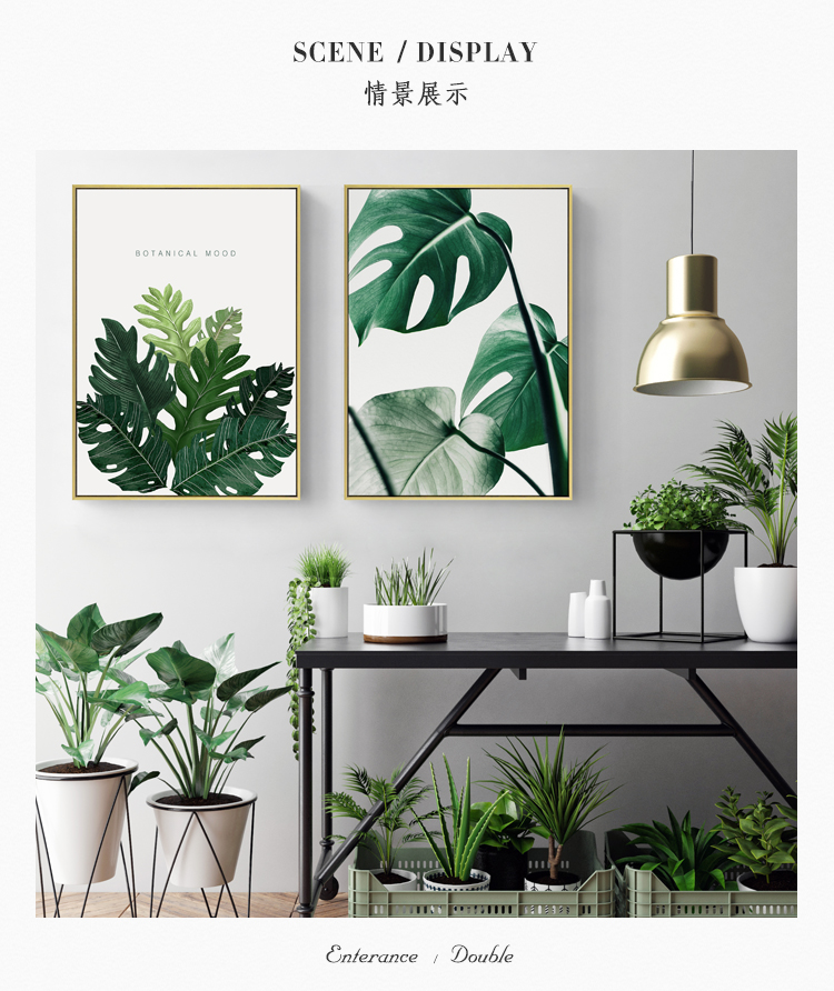 清新植物裝飾畫，簡約大氣客廳裝飾畫