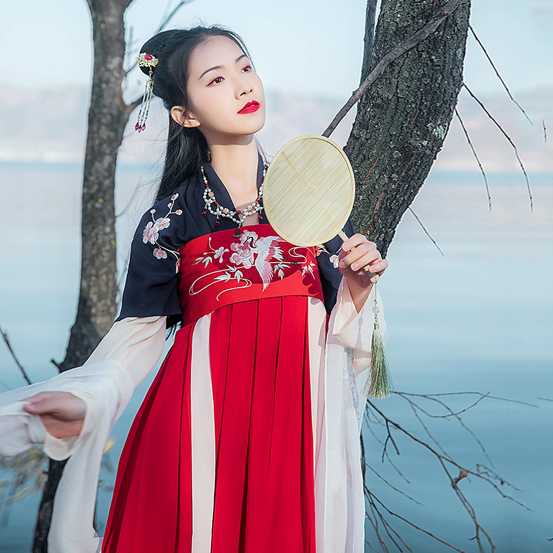 傳統(tǒng)雙袖刺繡漢服上衣，對襟半臂繡花漢服