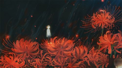 4款舞小仙的繪本插畫，不一樣的美！