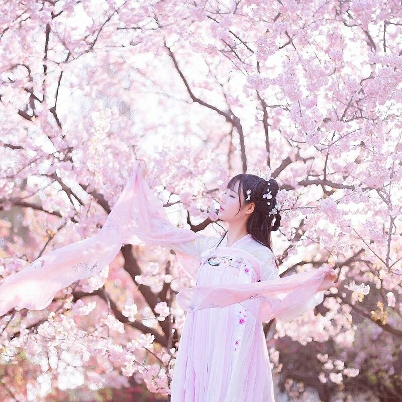 傳統(tǒng)華夏粉色漢服，漢元素清新淡雅漢服圖片