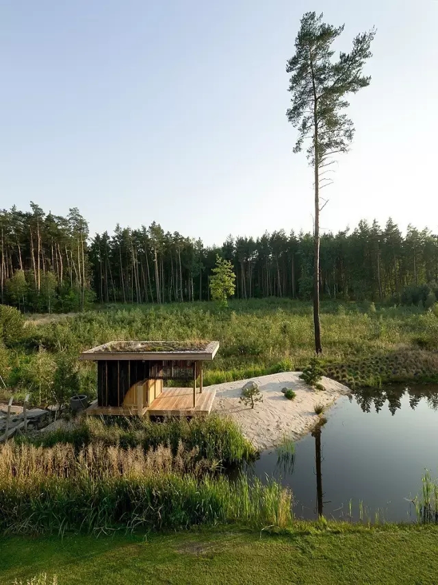 中式裝修，禪意茶室