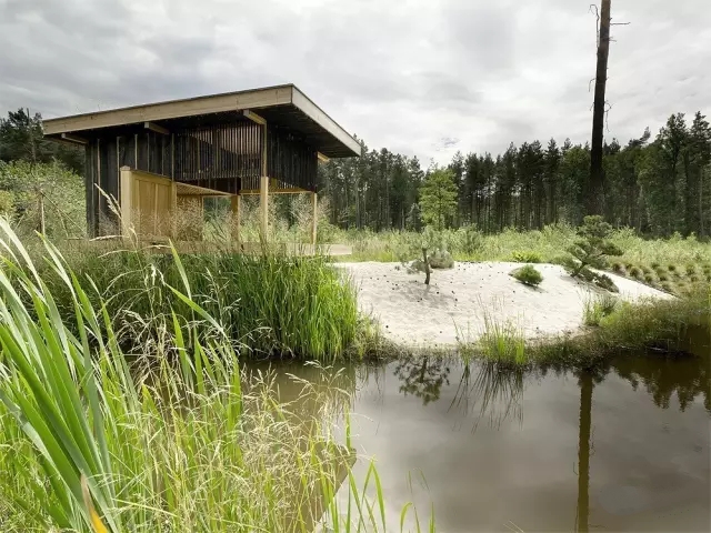 中式裝修，禪意茶室