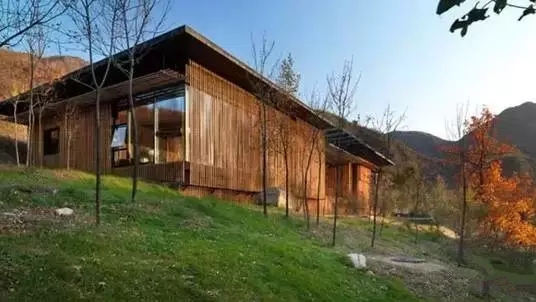 中式裝修，禪意茶室