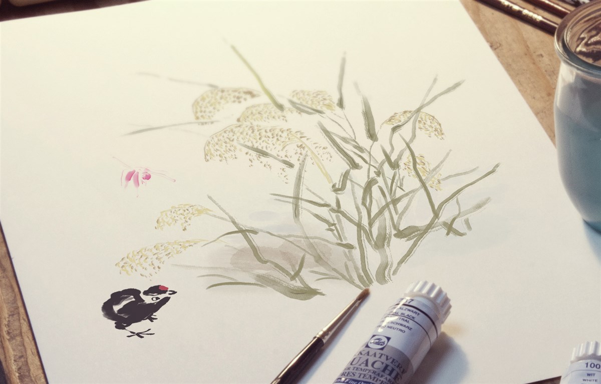 貢祿大米 | 品牌設(shè)計全過程