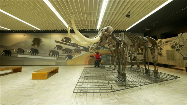 德國最大的自然博物館，德國森根堡自然博物館