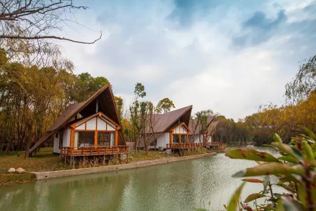 太湖之濱玖樹(shù)-森林的秘密