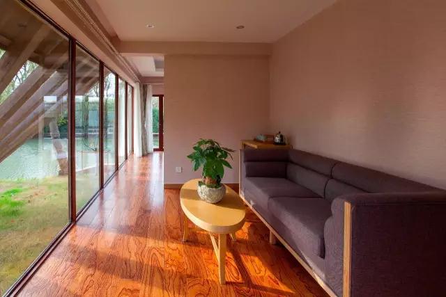 太湖之濱玖樹(shù)-森林的秘密