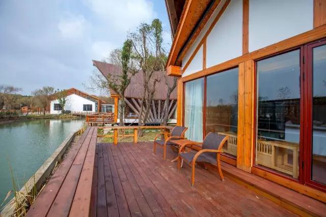 太湖之濱玖樹(shù)-森林的秘密