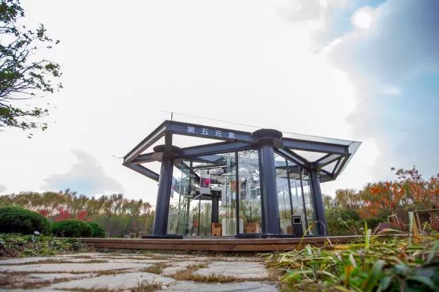 太湖之濱玖樹-森林的秘密