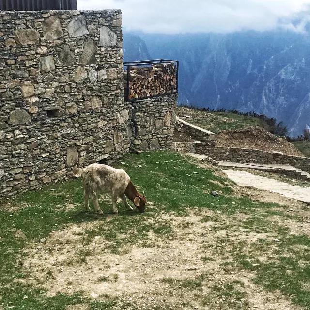 四川理縣浮云牧場(chǎng)