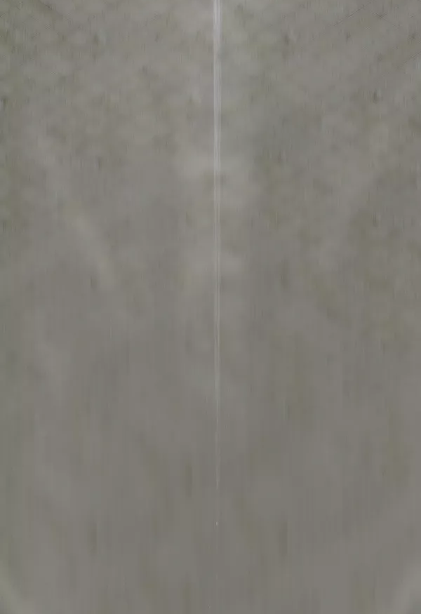 一九三一百雀羚，請開啟我的表演