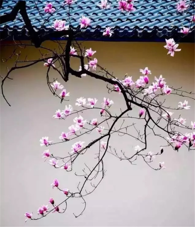 中國最美古建筑，古建筑攝影