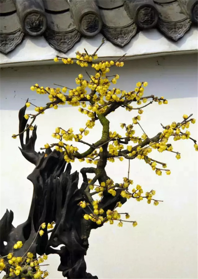 中國最美古建筑，古建筑攝影