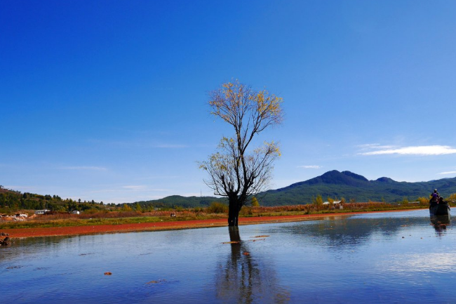 麗江國(guó)色天香精品民宿(觀云店）