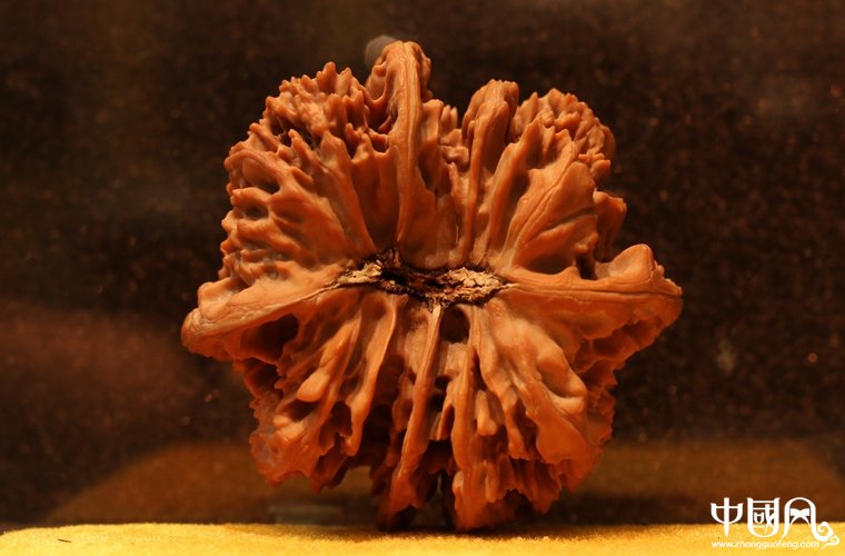 精品四棱滿天星獅子頭核桃（收藏級）